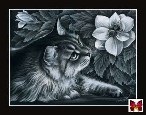 кошка с цветком - кошки - оригинал