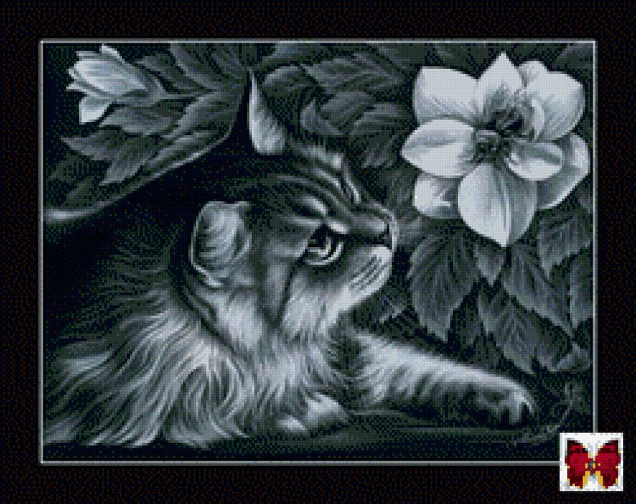 кошка с цветком - кошки - предпросмотр