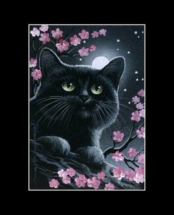 черный котик - кошки - оригинал