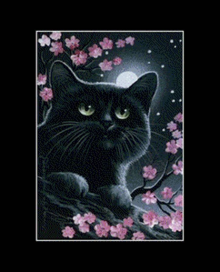 черный котик - кошки - предпросмотр