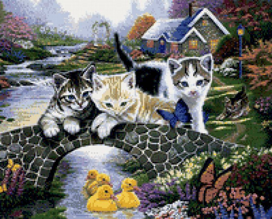 котики - котята - предпросмотр