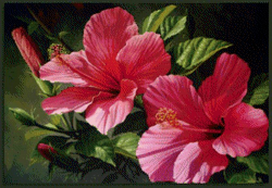 цветы - предпросмотр