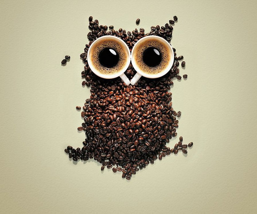 Сова - оригинал