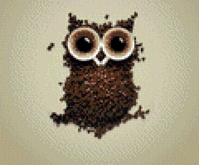 Сова - предпросмотр