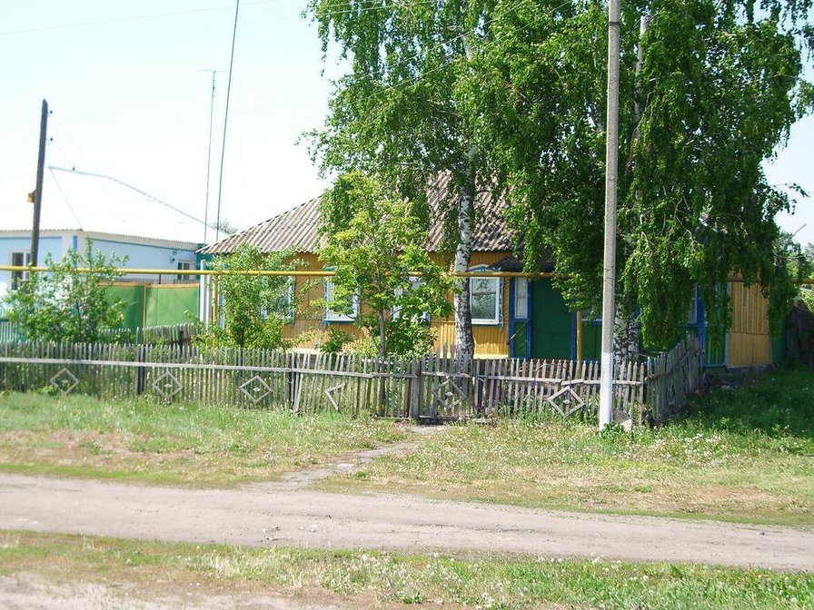 березка у дома - пейзаж - оригинал