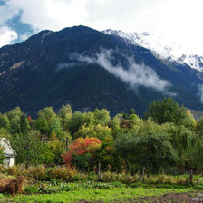 Схема вышивки «теберда»