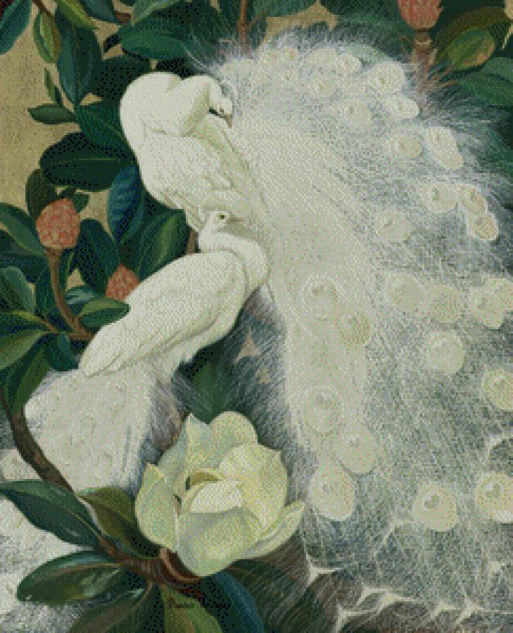 белые красавцы - животные, птицы - предпросмотр