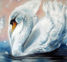 Схема вышивки «белый лебедь»