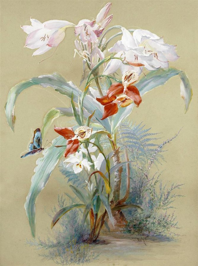 бабочка на цветах - цветы - оригинал