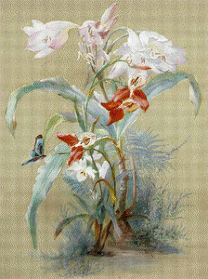 бабочка на цветах - цветы - предпросмотр