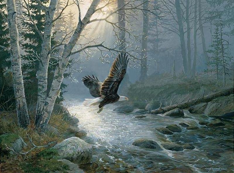 орел - птицы - оригинал