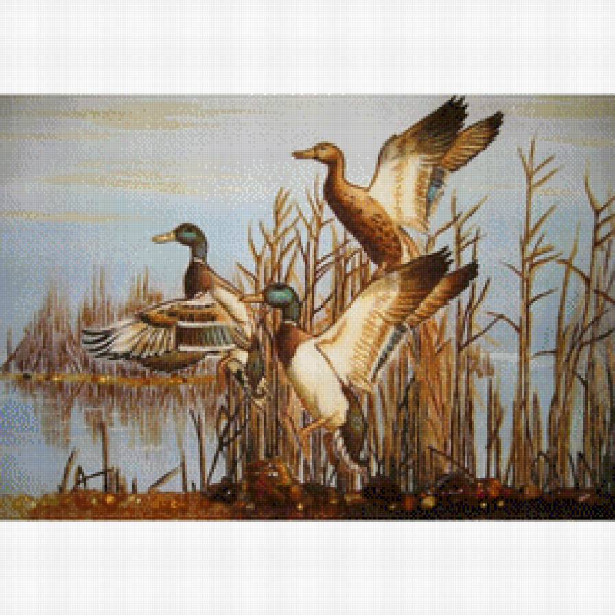 утки в картинах 2 - птицы - предпросмотр