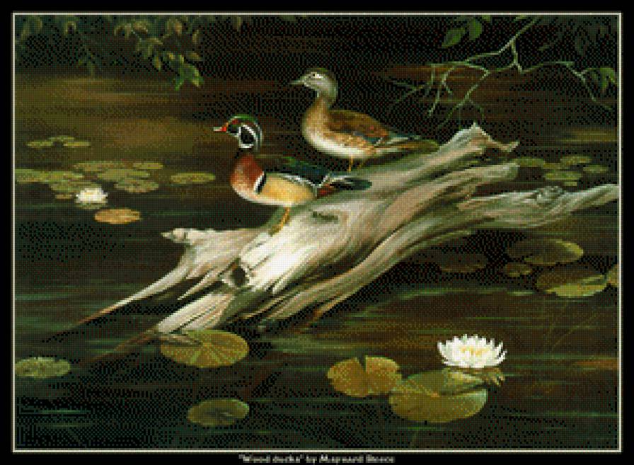 утки в картинах 3 - птицы - предпросмотр