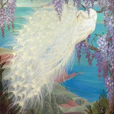 белый павлин