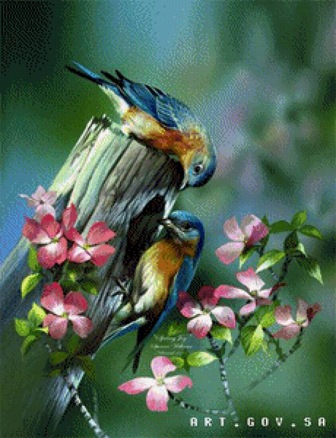 птички - птицы - предпросмотр