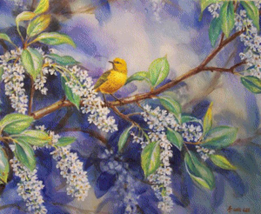 птичка - птицы - предпросмотр