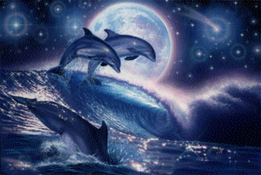 дельфины - животные, ночь, море - предпросмотр