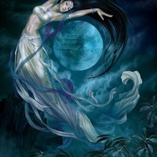 Схема вышивки «фея луны»