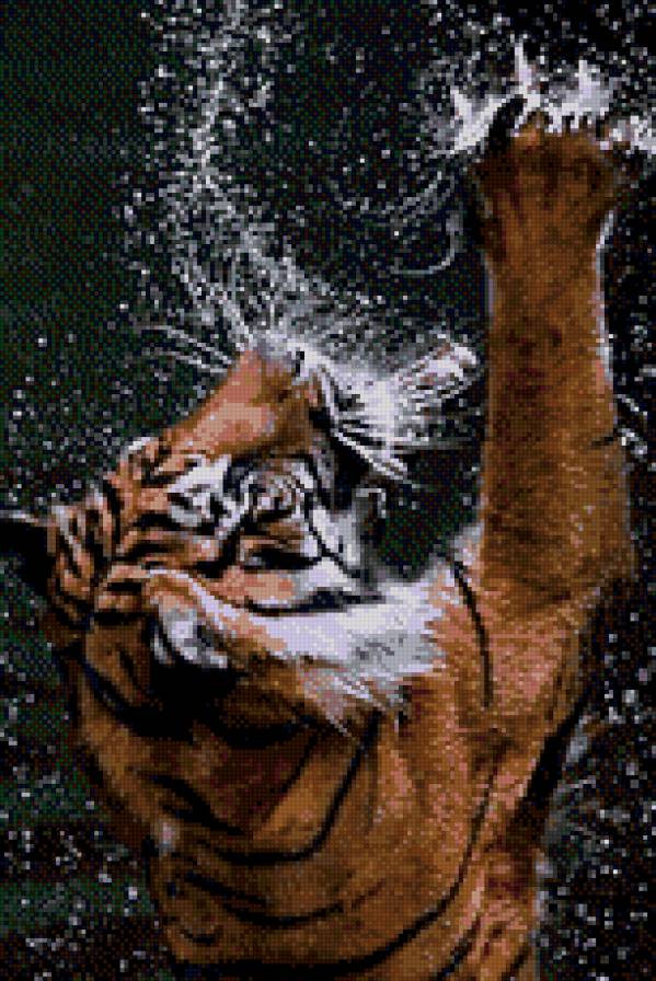 "Дикие брызги" - тигр, животные - предпросмотр