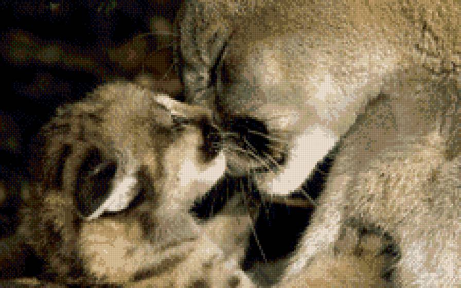 "Мамина любовь" - кошки, животные - предпросмотр