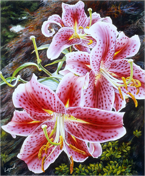 лилии - картина цветы - оригинал