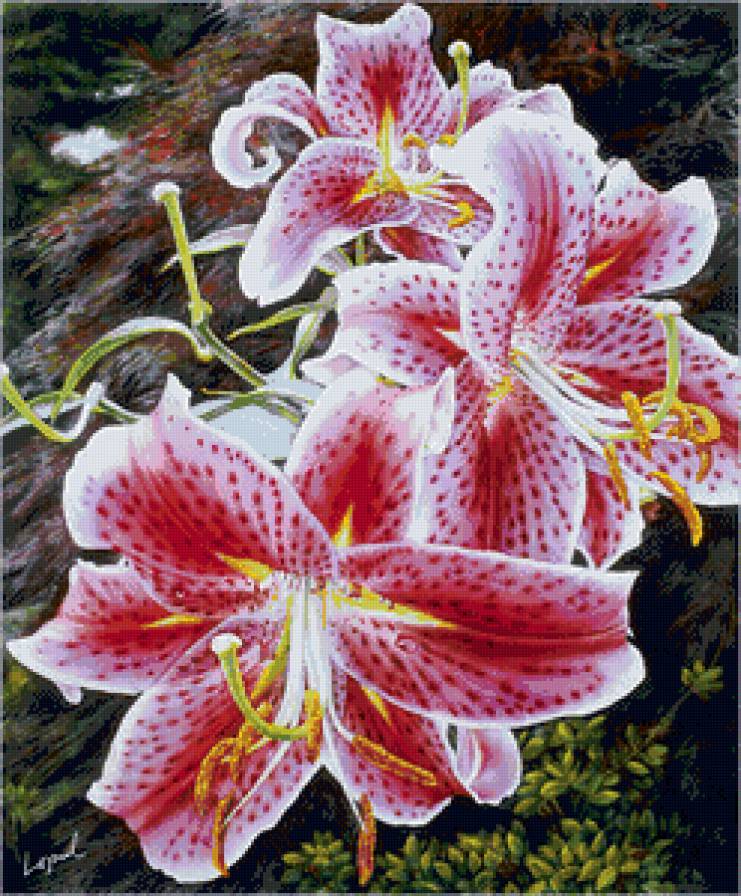 лилии - картина цветы - предпросмотр