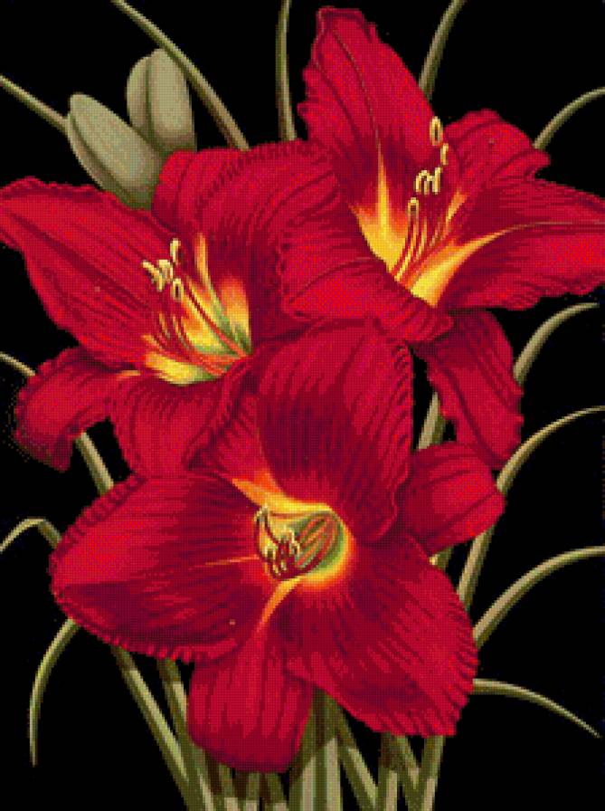 цветы - картина цветы - предпросмотр