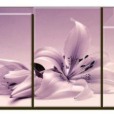 Оригинал схемы вышивки «цветы» (№614429)