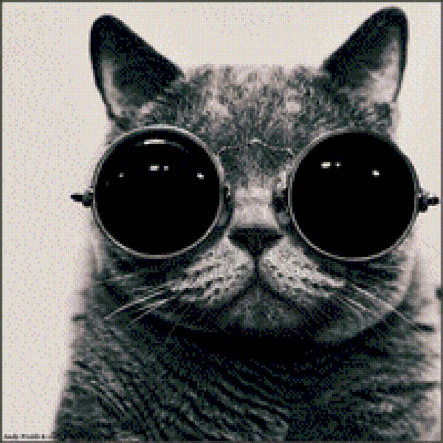 Кот хиппи - хиппи, кот - предпросмотр