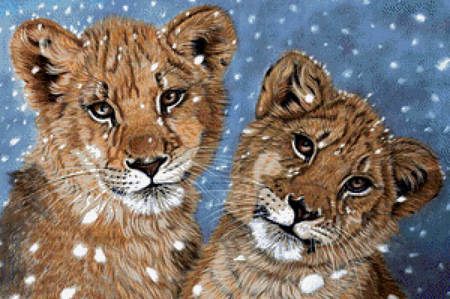 Львята - львы, животные, львята - предпросмотр