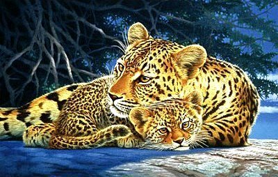 Мамочка - животные, леопарды - оригинал