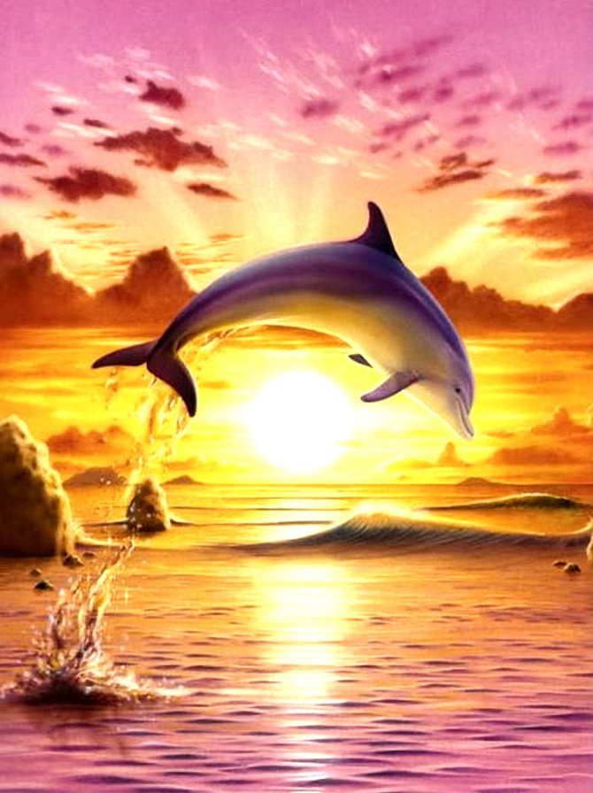 Дельфин - оригинал