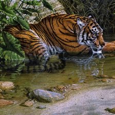 Схема вышивки «Тигрица у воды»