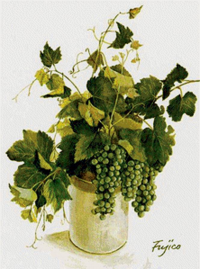 Виноград. - предпросмотр