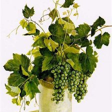 Схема вышивки «Виноград.»