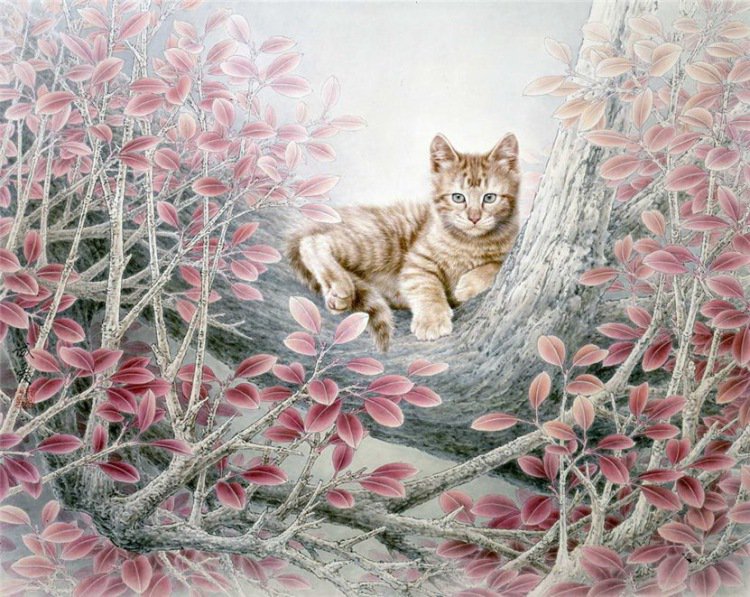 котик - кошки - оригинал