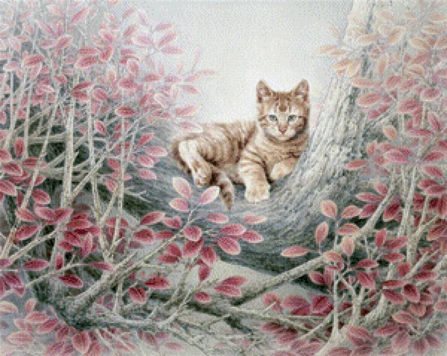 котик - кошки - предпросмотр