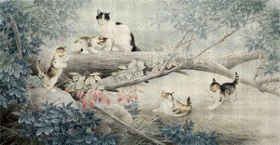 кошачье семейство - кошки - предпросмотр