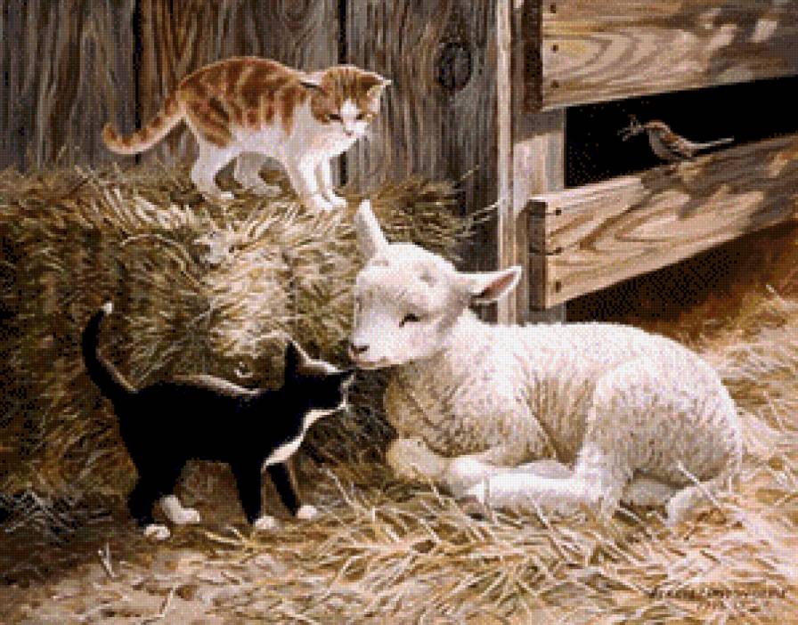 первое знакомство - кошки, животные - предпросмотр