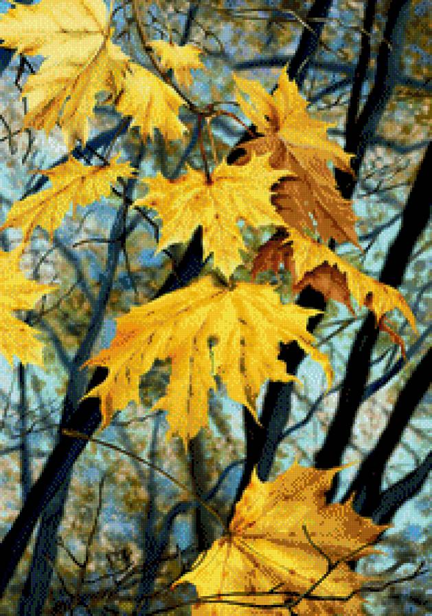 Осенние листья - предпросмотр