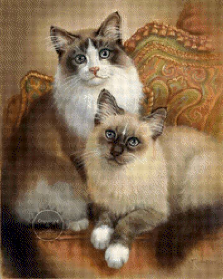 хозяева в доме - кошки - предпросмотр