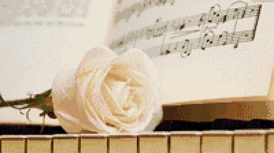 белая роза - ноты, натюрморт, пианино, роза - предпросмотр