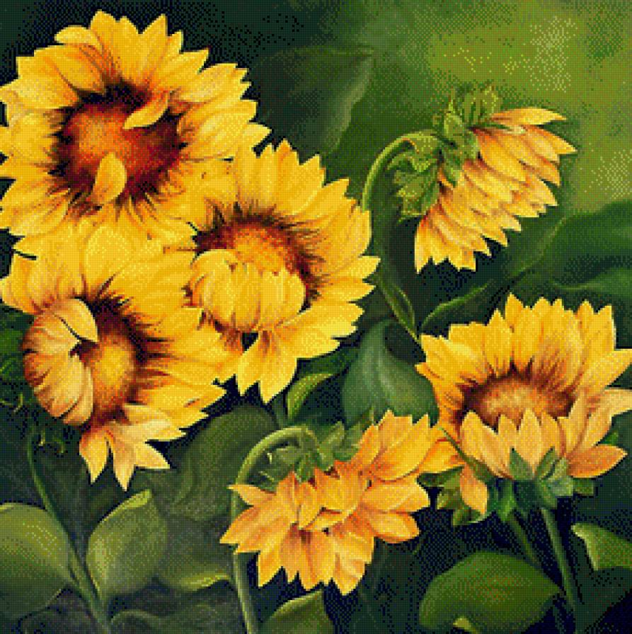 Подсолнухи - предпросмотр