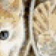 Предпросмотр схемы вышивки «котята» (№614803)