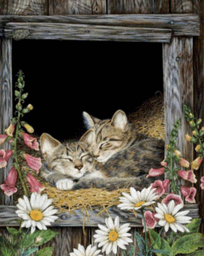 полуденный сон - кошки - предпросмотр