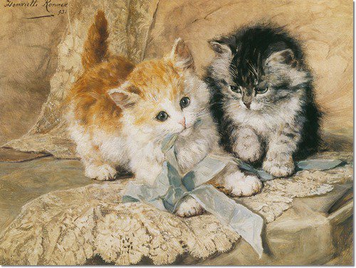 котята - кошки - оригинал