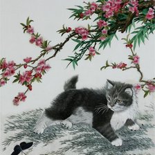 черный котенок