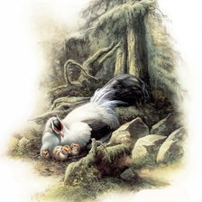 Схема вышивки «фазан и фазанята»