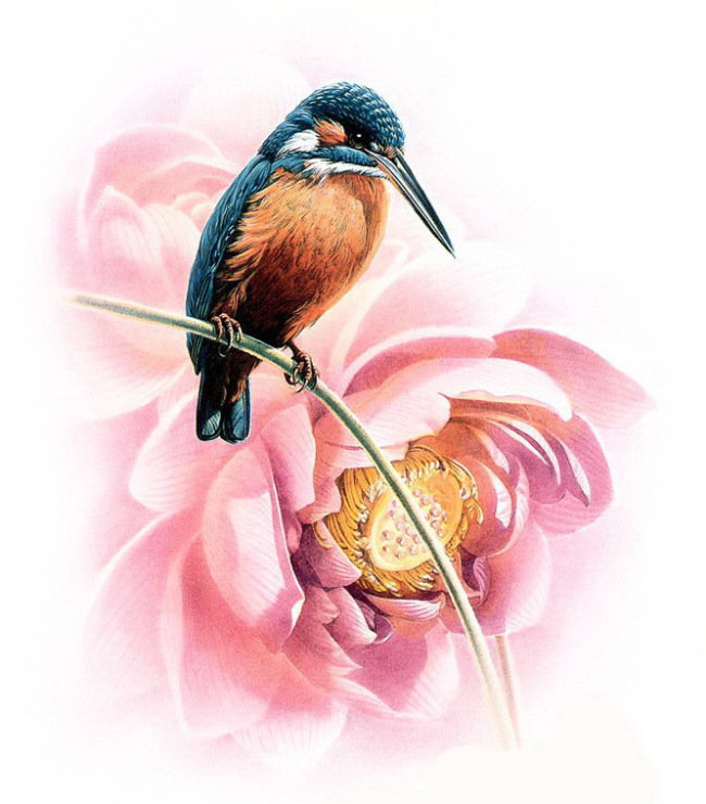 птичка на цветке - птицы - оригинал