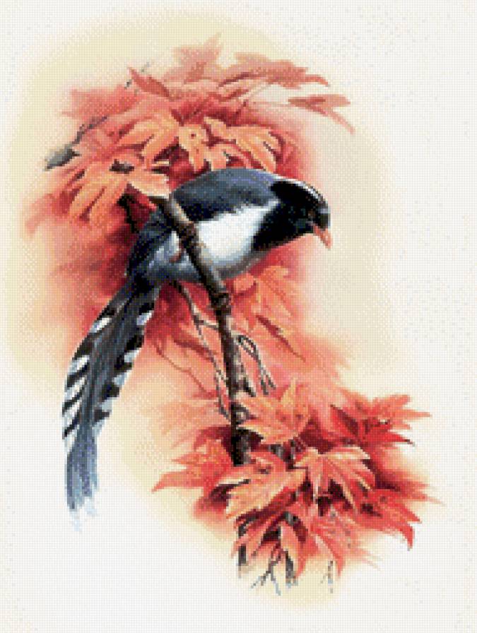 птичка - птицы - предпросмотр